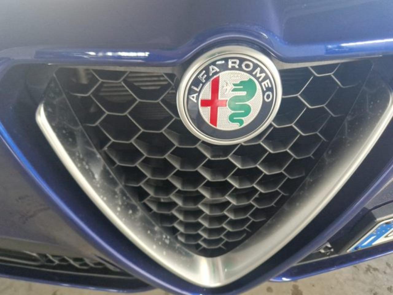 Alfa Romeo Alfa Romeo Stelvio usata 12