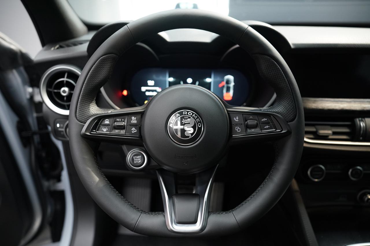 Alfa Romeo Alfa Romeo Stelvio usata 2
