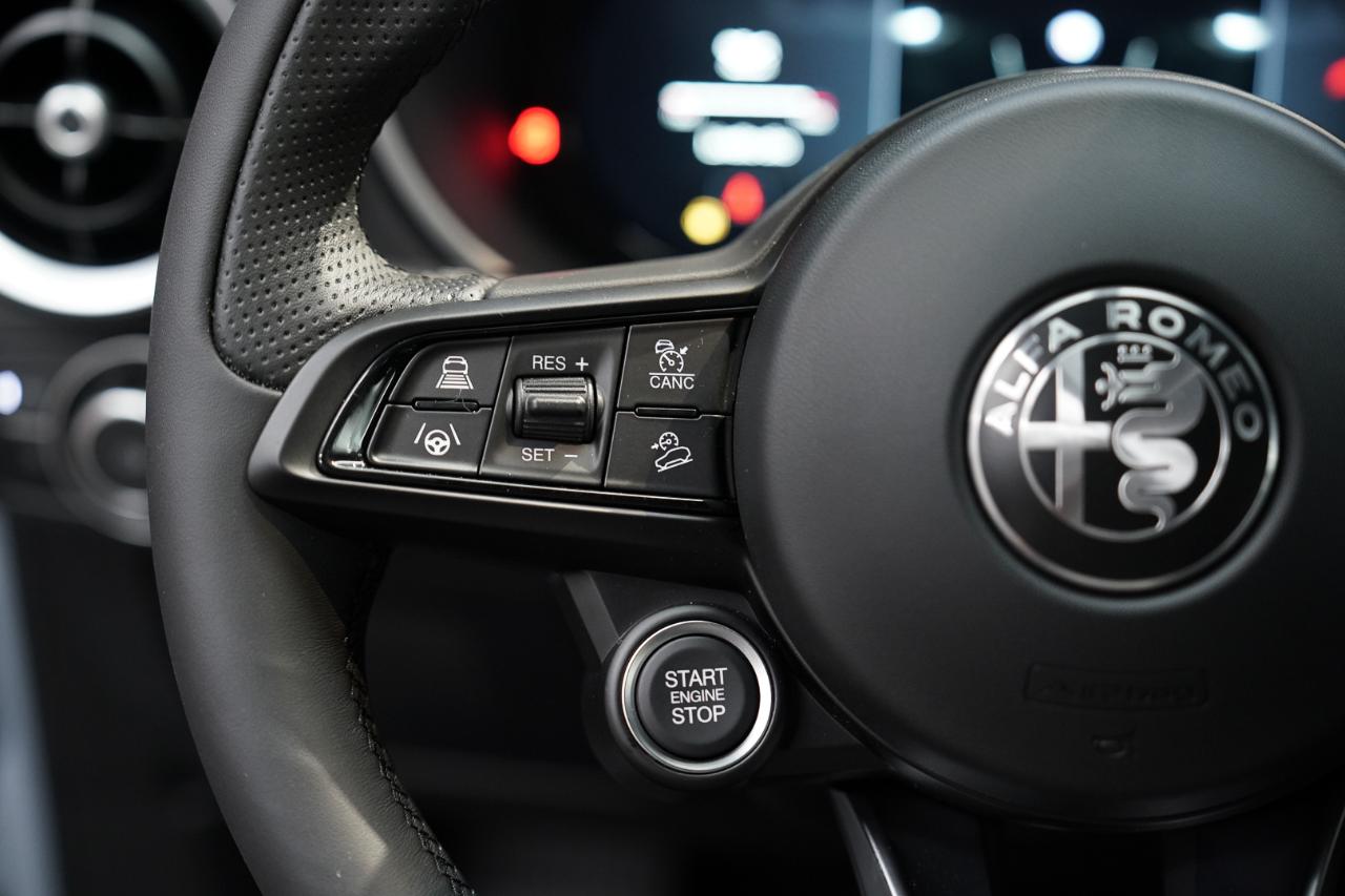 Alfa Romeo Alfa Romeo Stelvio usata 3