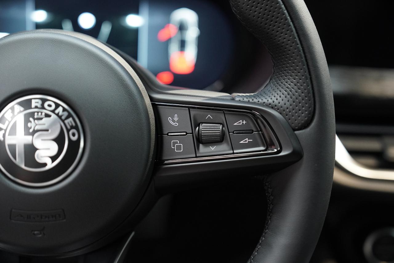 Alfa Romeo Alfa Romeo Stelvio usata 4