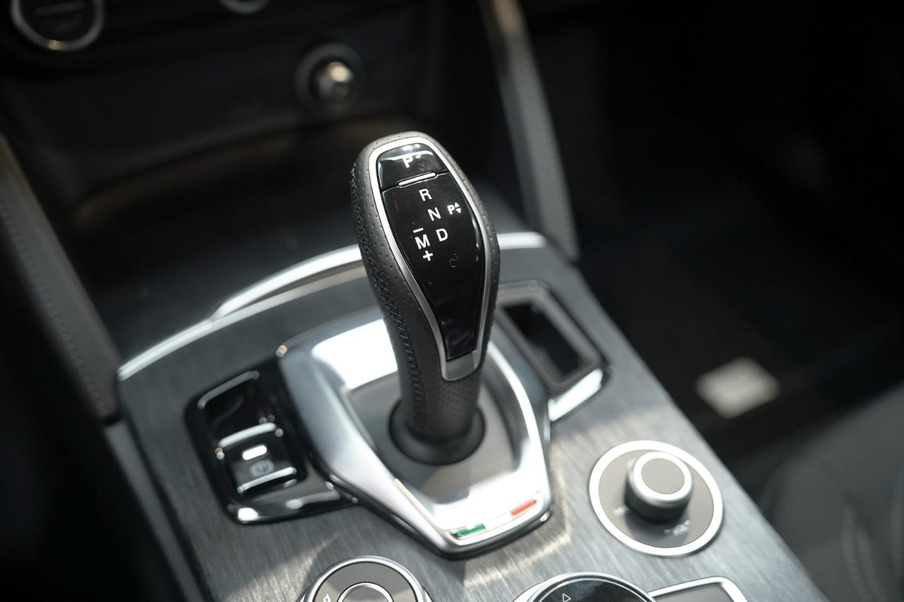 Alfa Romeo Alfa Romeo Stelvio usata 8