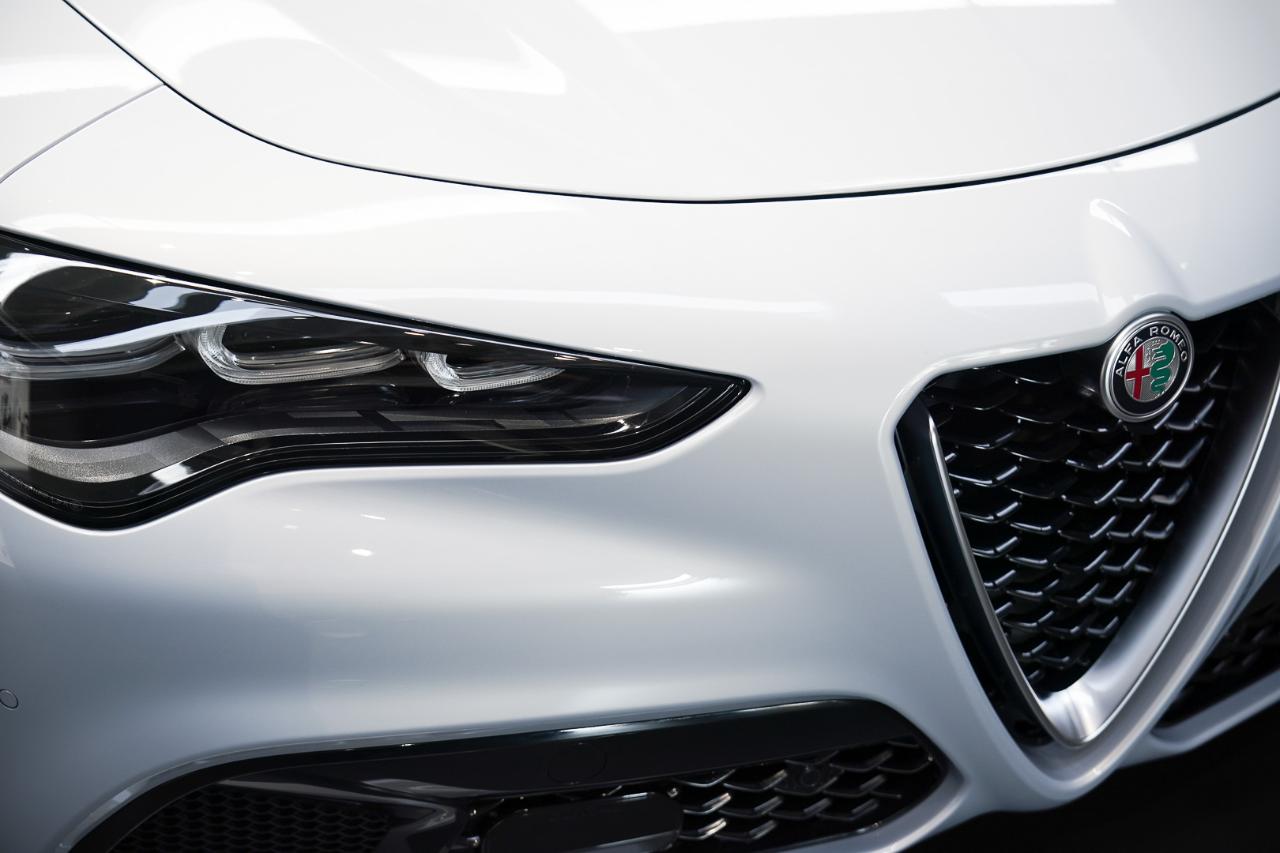 Alfa Romeo Alfa Romeo Stelvio usata 17
