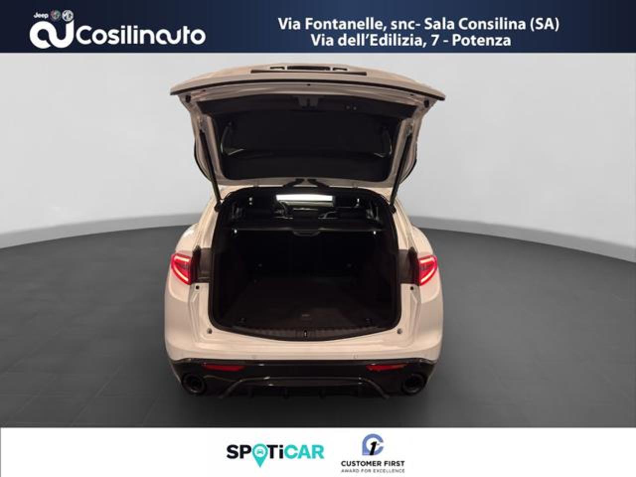 Alfa Romeo Alfa Romeo Stelvio usata, con cruise control