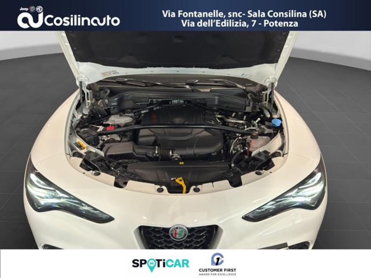 Alfa Romeo Alfa Romeo Stelvio usata, con esp