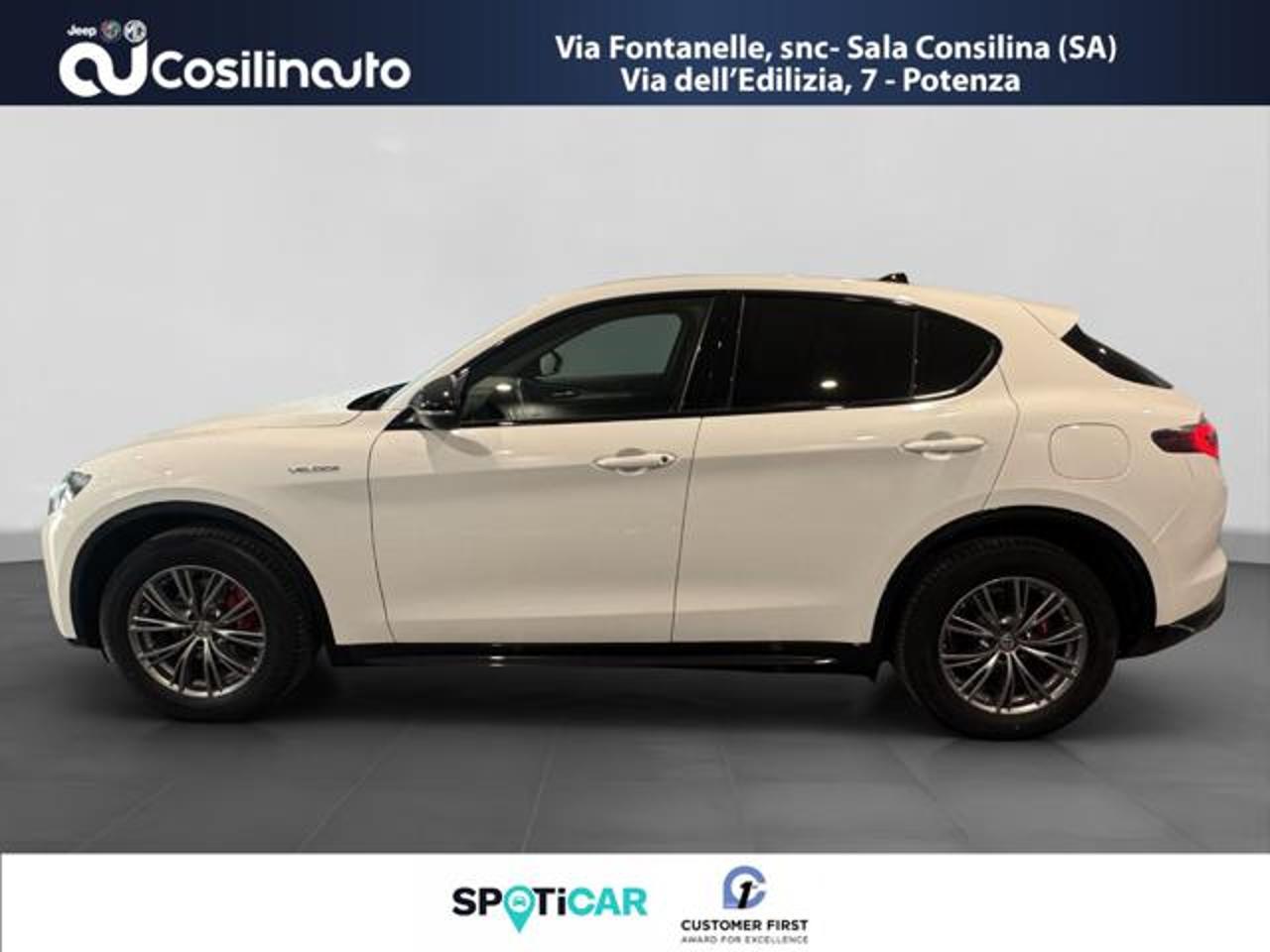 Alfa Romeo Alfa Romeo Stelvio usata, con navigatore
