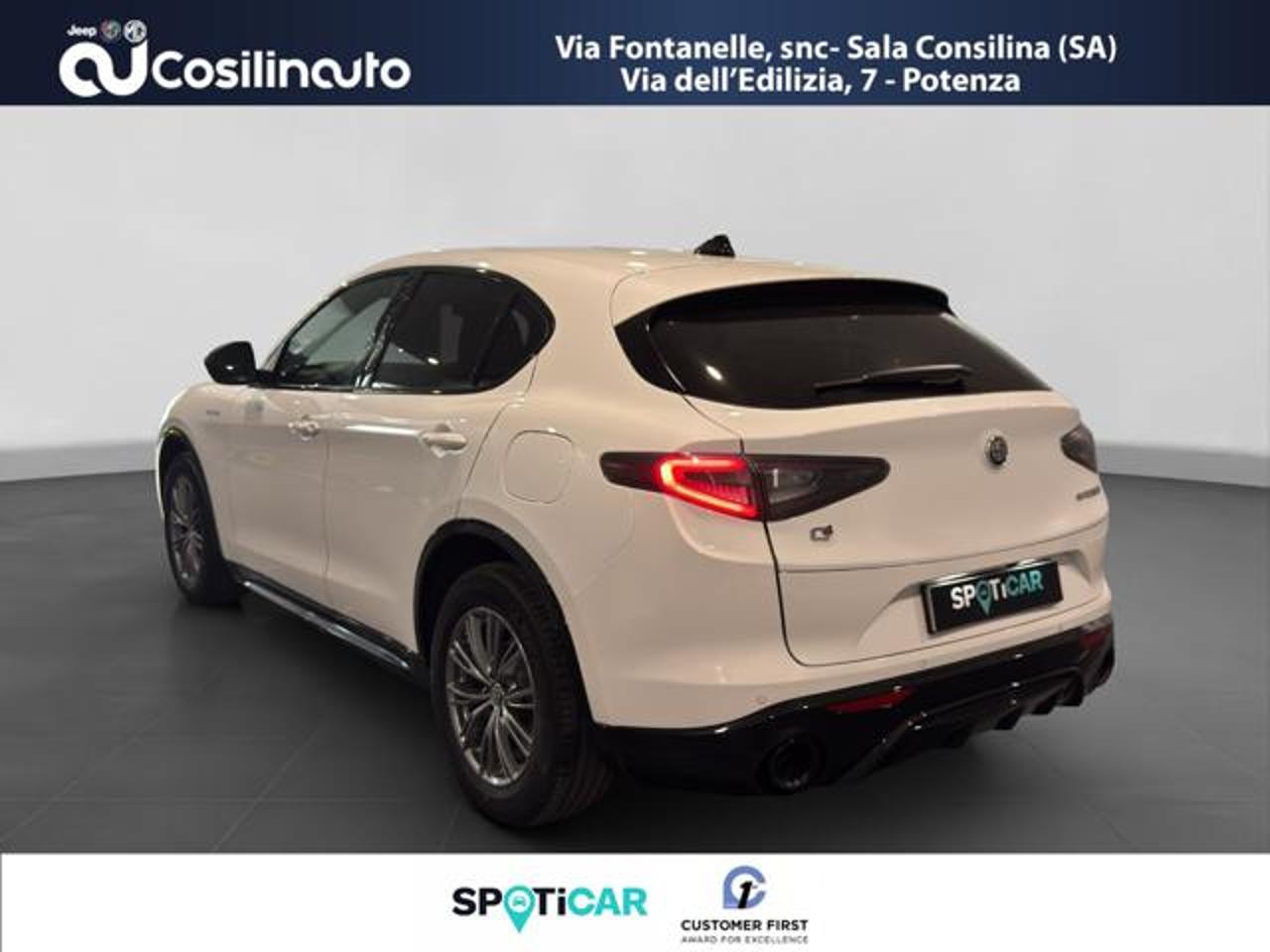 Alfa Romeo Alfa Romeo Stelvio usata, con servo sterzo