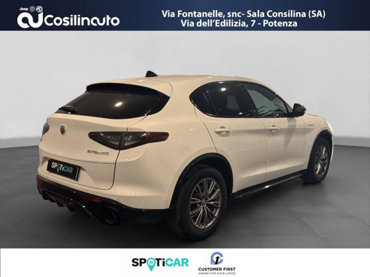 Alfa Romeo Alfa Romeo Stelvio usata 15