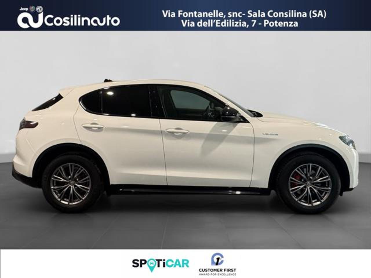 Alfa Romeo Alfa Romeo Stelvio usata 16