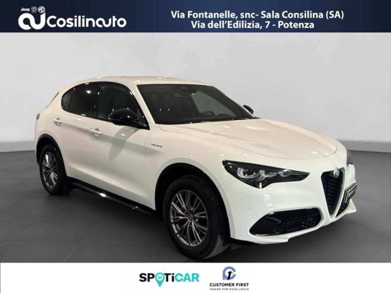 Alfa Romeo Alfa Romeo Stelvio usata 17