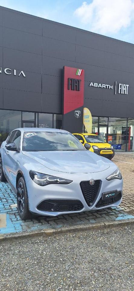 Alfa Romeo Alfa Romeo Stelvio usata, con servo sterzo