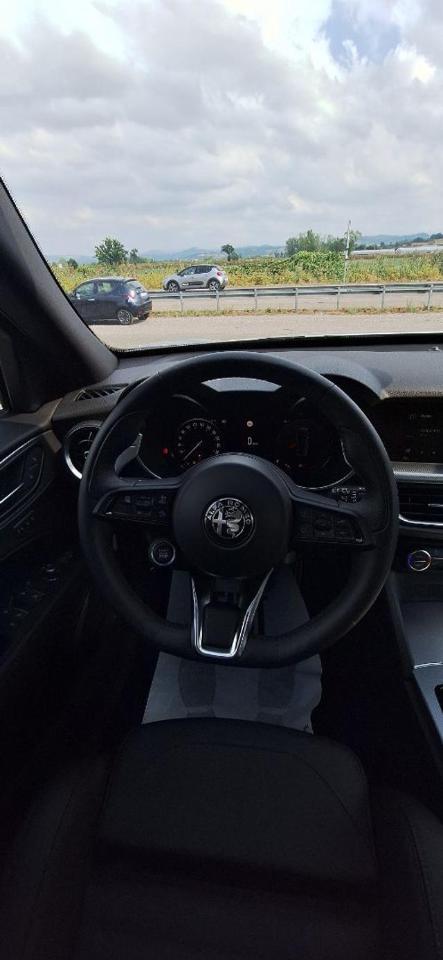 Alfa Romeo Alfa Romeo Stelvio usata 18