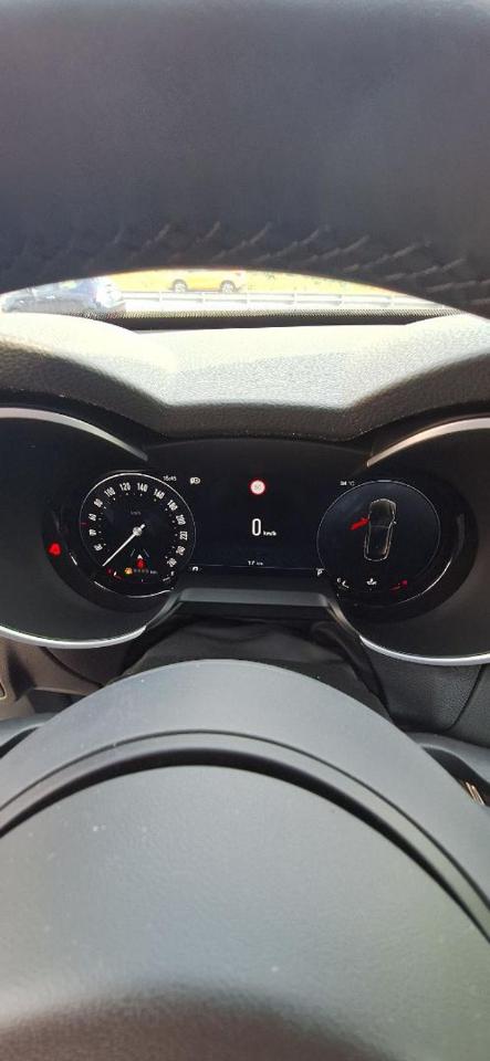 Alfa Romeo Alfa Romeo Stelvio usata 19