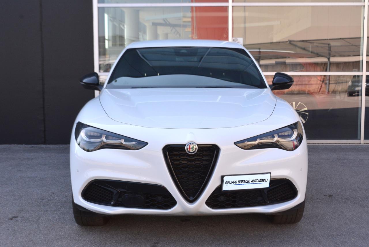 Alfa Romeo Alfa Romeo Stelvio usata 11