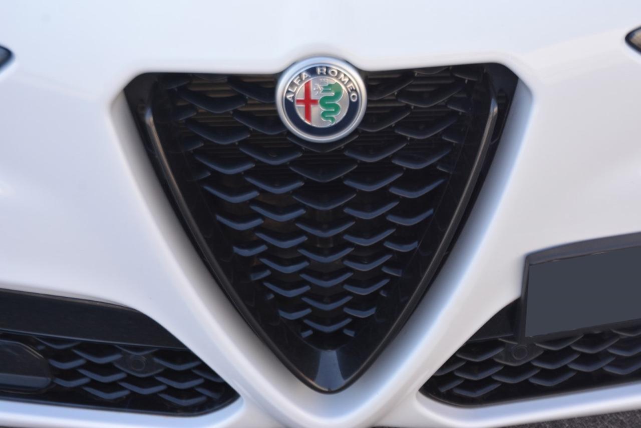 Alfa Romeo Alfa Romeo Stelvio usata 13