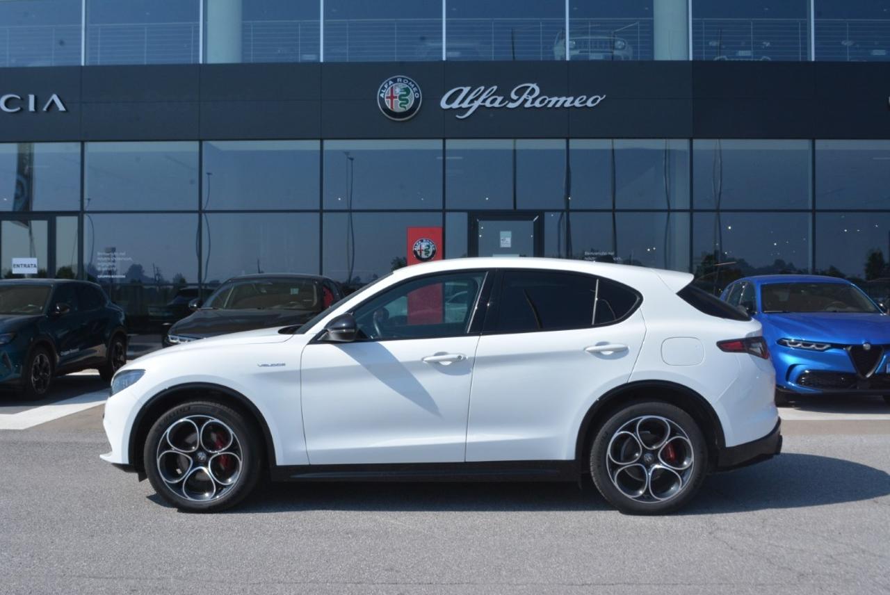 Alfa Romeo Alfa Romeo Stelvio usata 16