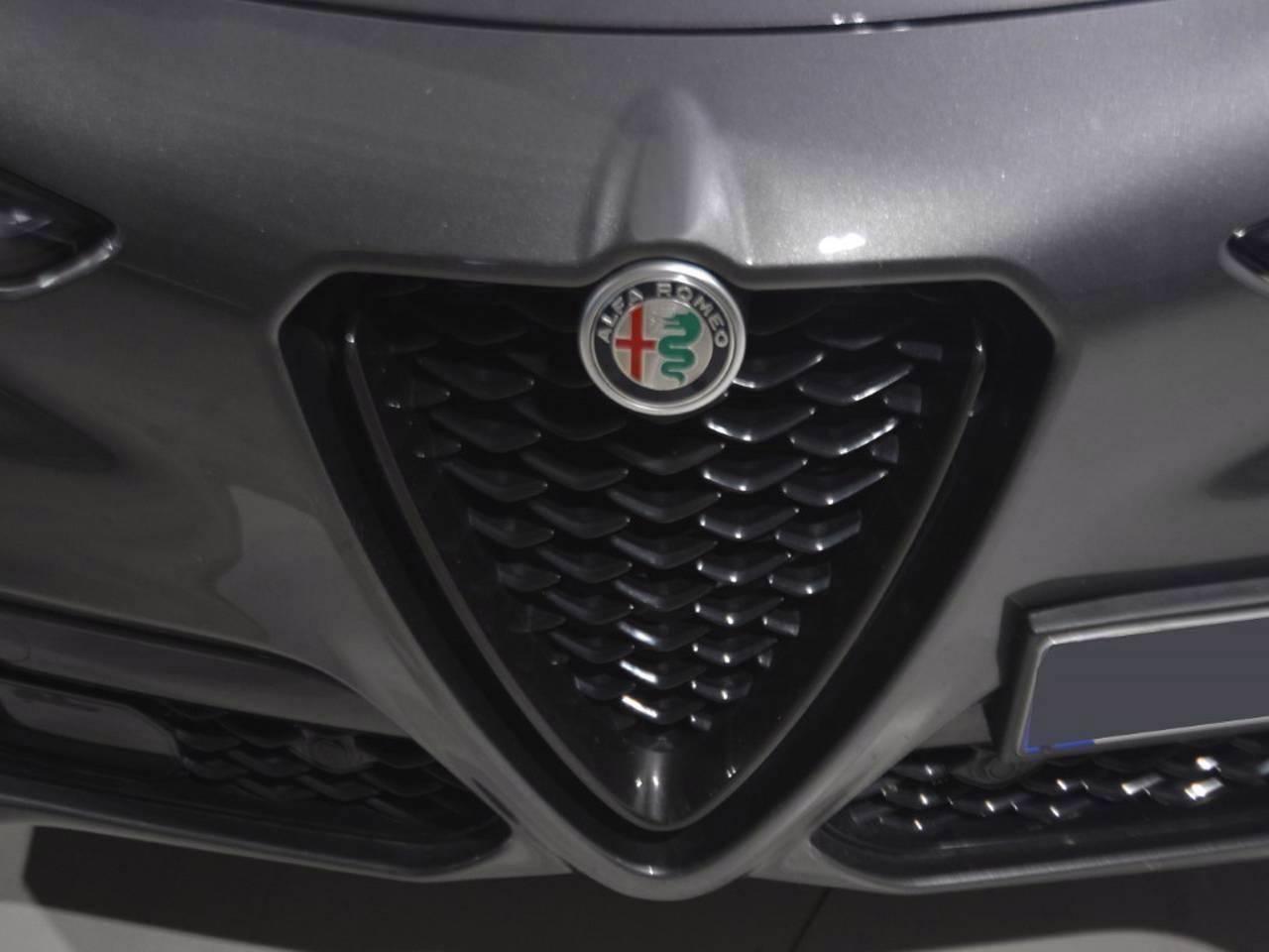 Alfa Romeo Alfa Romeo Stelvio usata 13