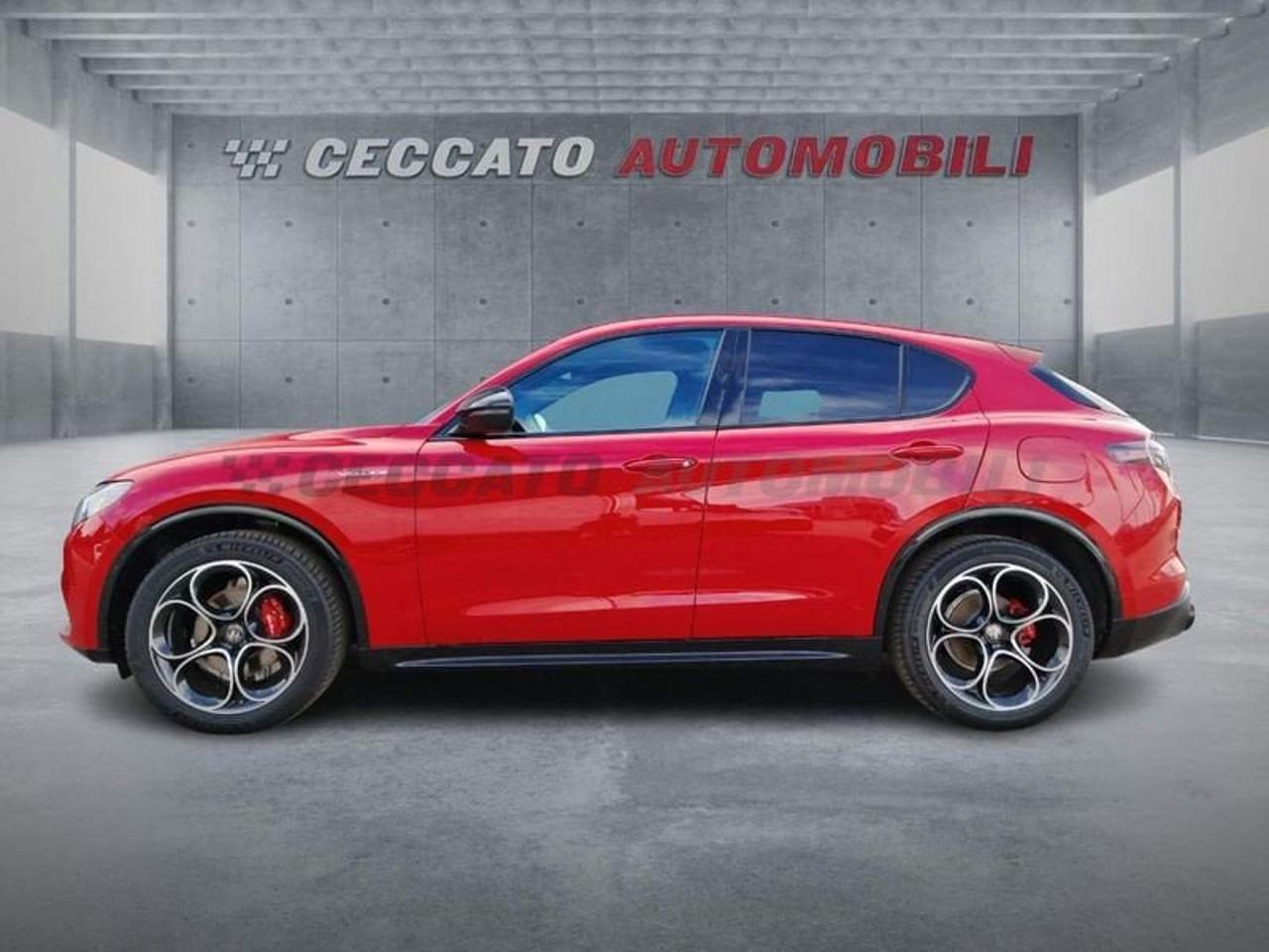 Alfa Romeo Alfa Romeo Stelvio usata 11
