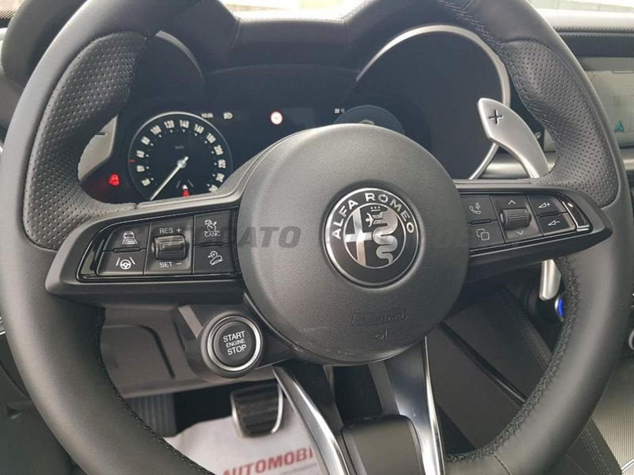Alfa Romeo Alfa Romeo Stelvio usata 14