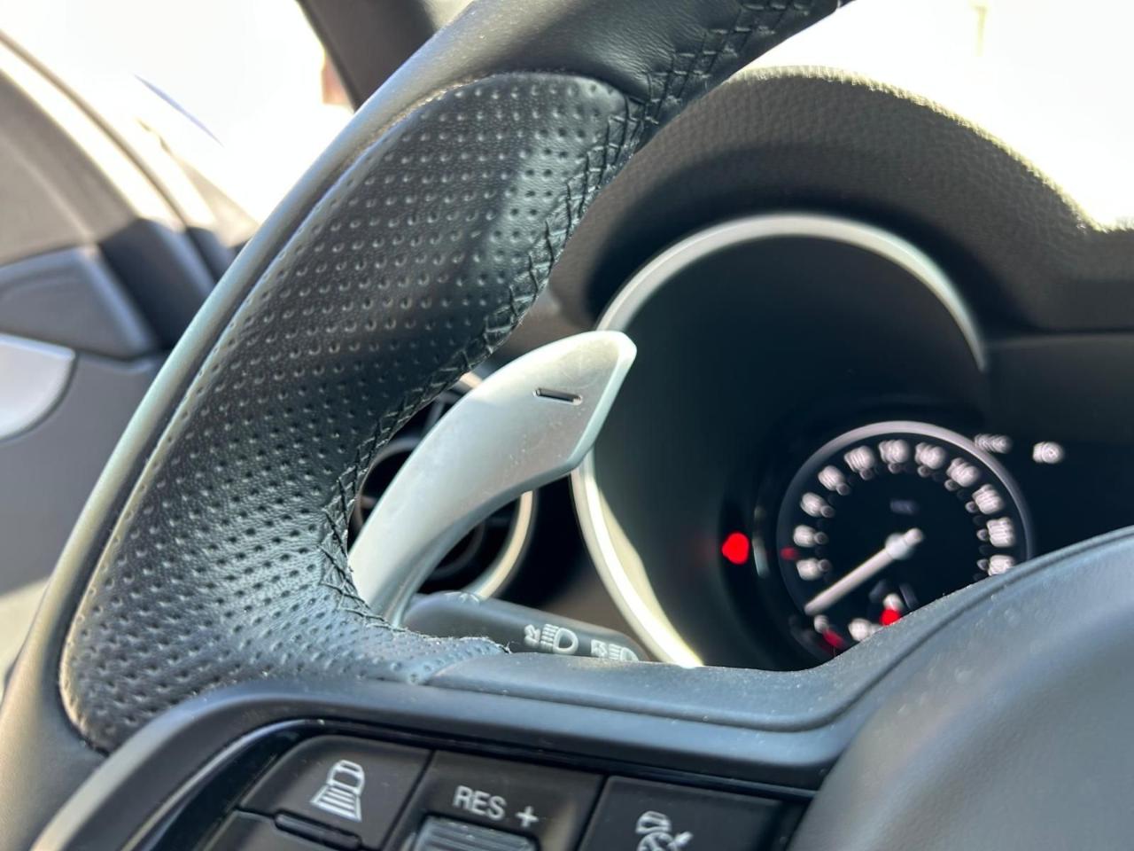 Alfa Romeo Alfa Romeo Stelvio usata 12