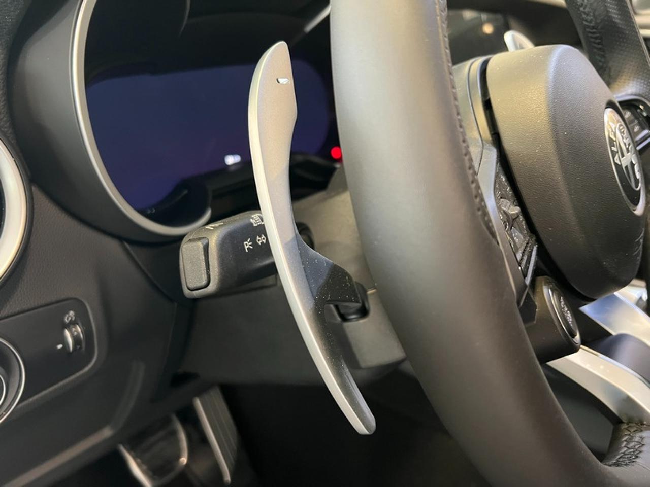 Alfa Romeo Alfa Romeo Stelvio usata 8