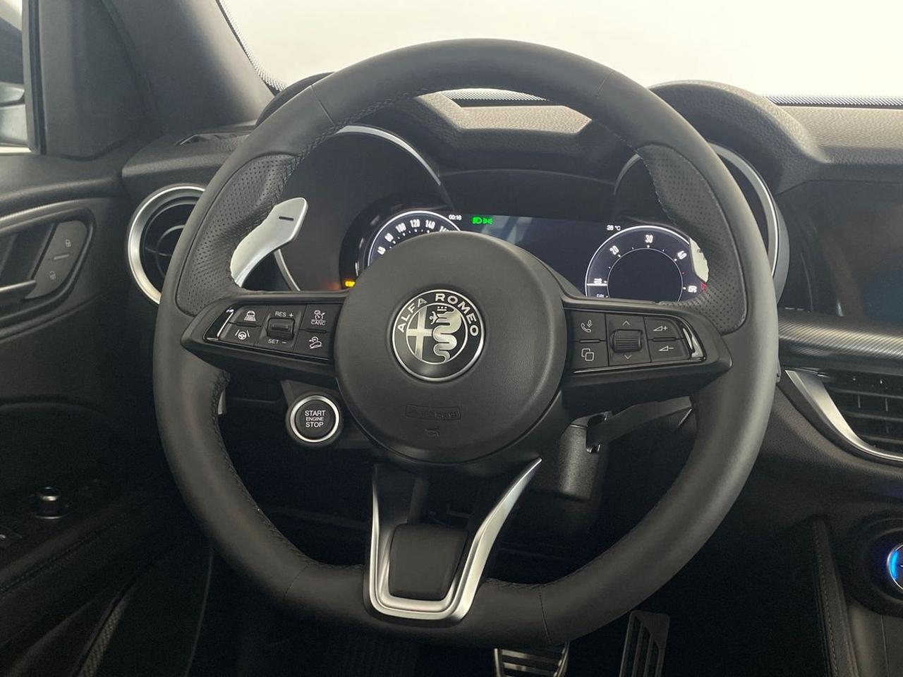 Alfa Romeo Alfa Romeo Stelvio usata 13