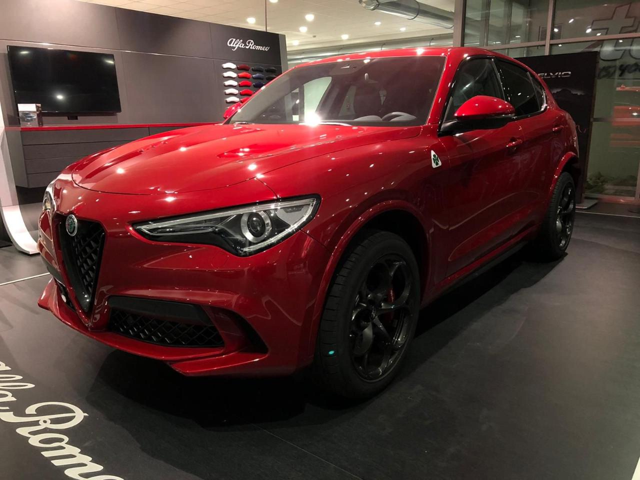 alfa romeo stelvio stelvio 2.9 v6 quadrifoglio q4 510cv auto usata
