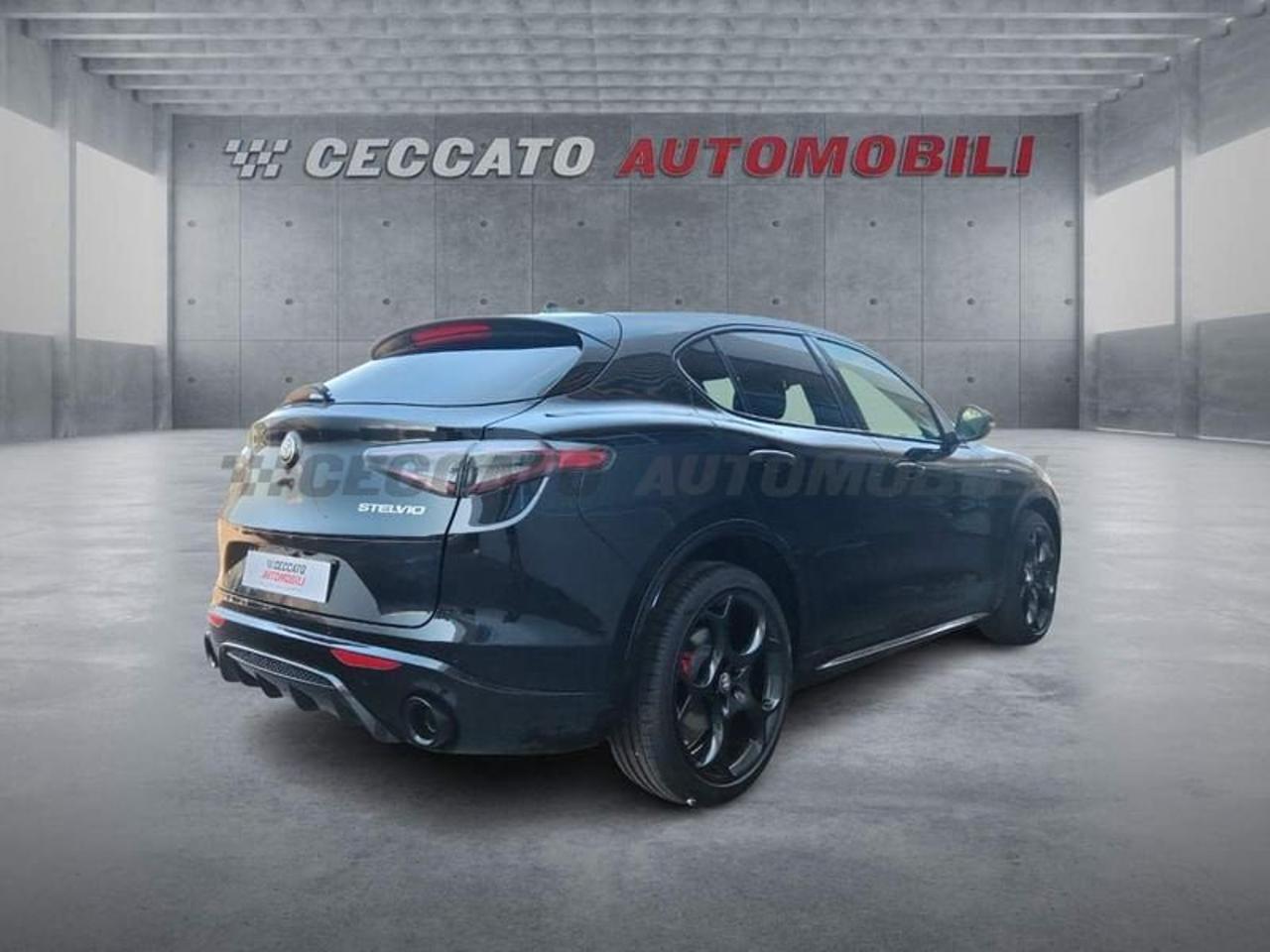 Alfa Romeo Alfa Romeo Stelvio usata 9
