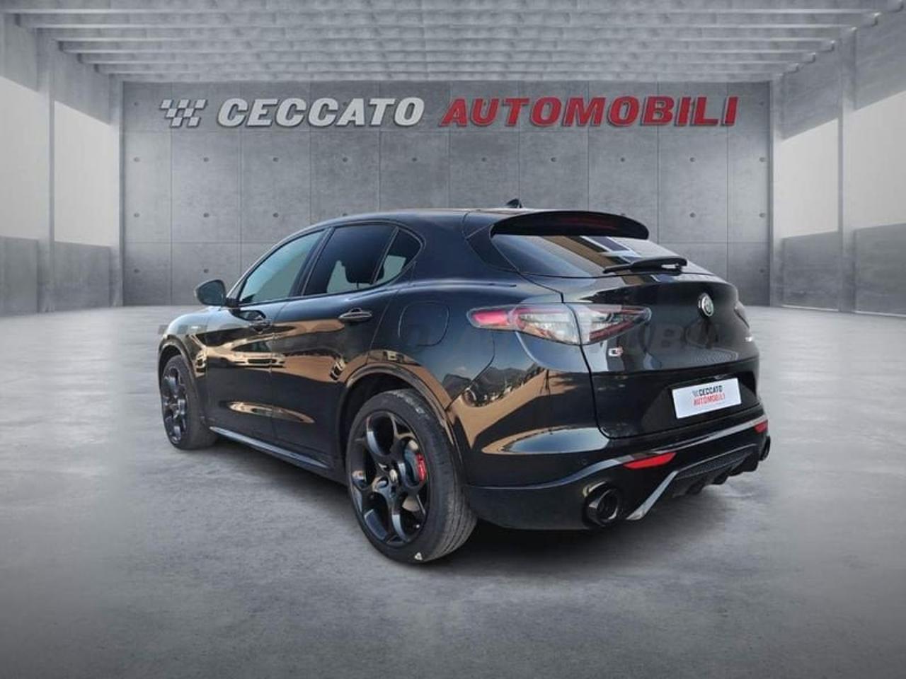 Alfa Romeo Alfa Romeo Stelvio usata 18