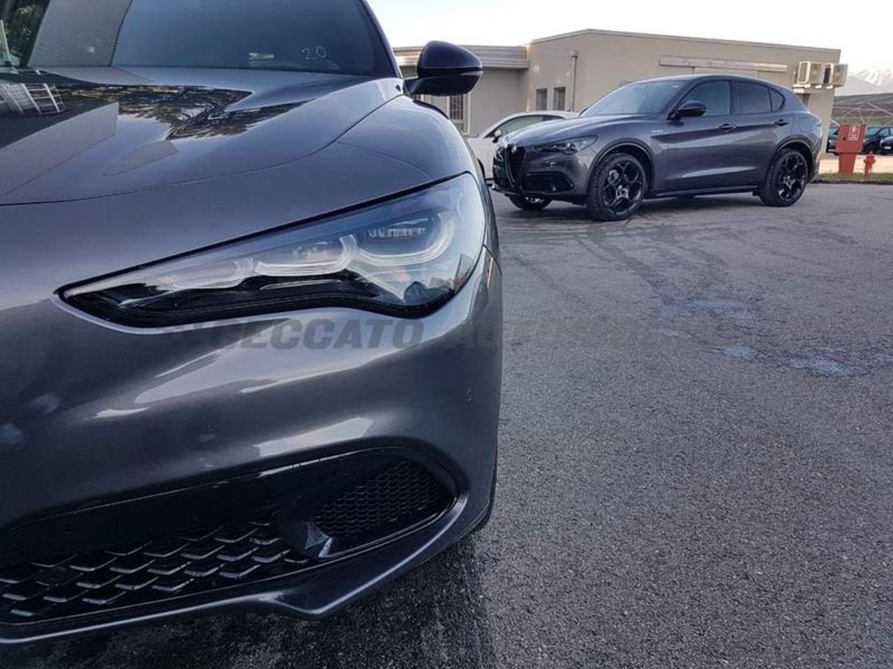 Alfa Romeo Alfa Romeo Stelvio usata 9