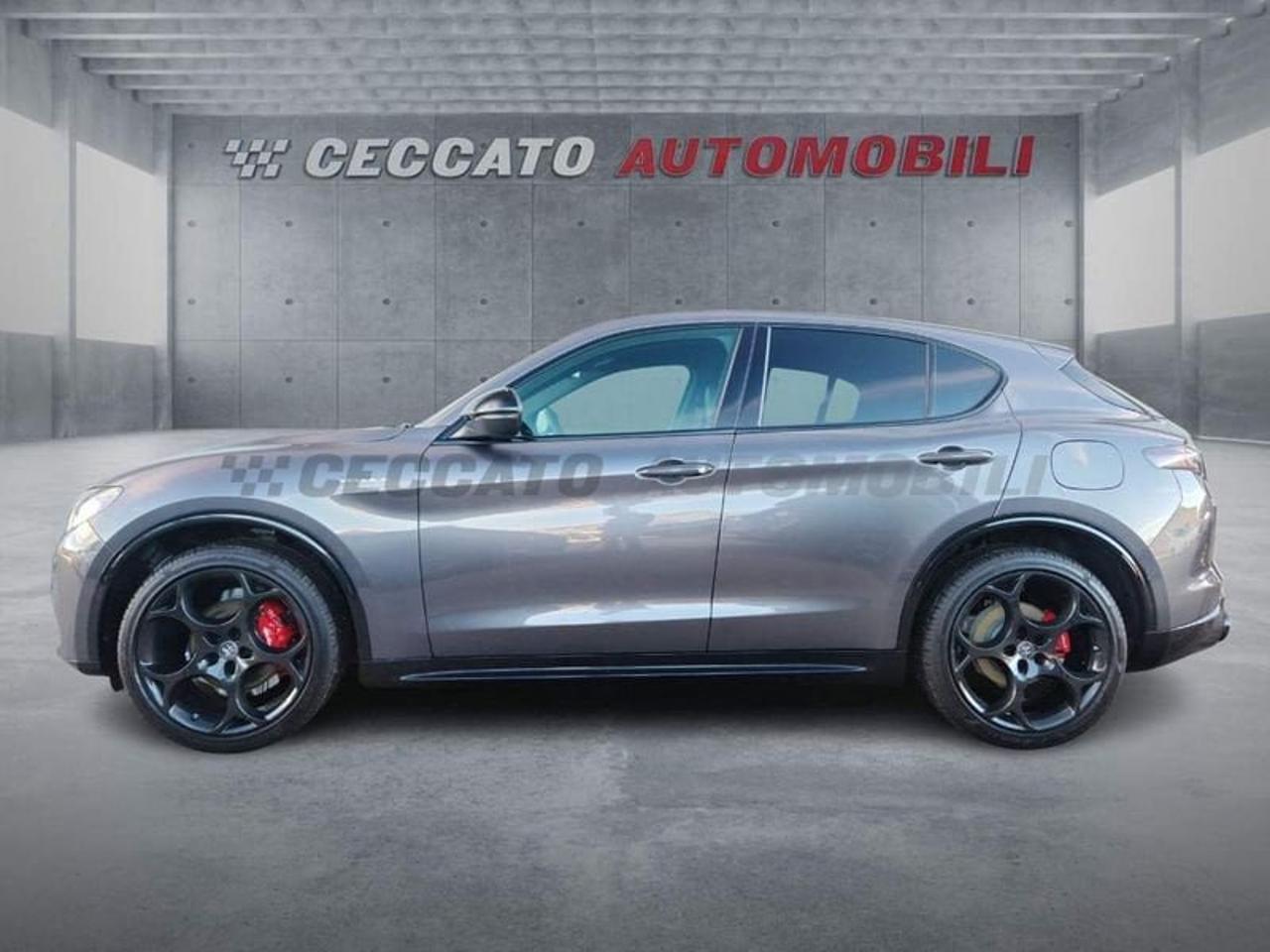 Alfa Romeo Alfa Romeo Stelvio usata 11