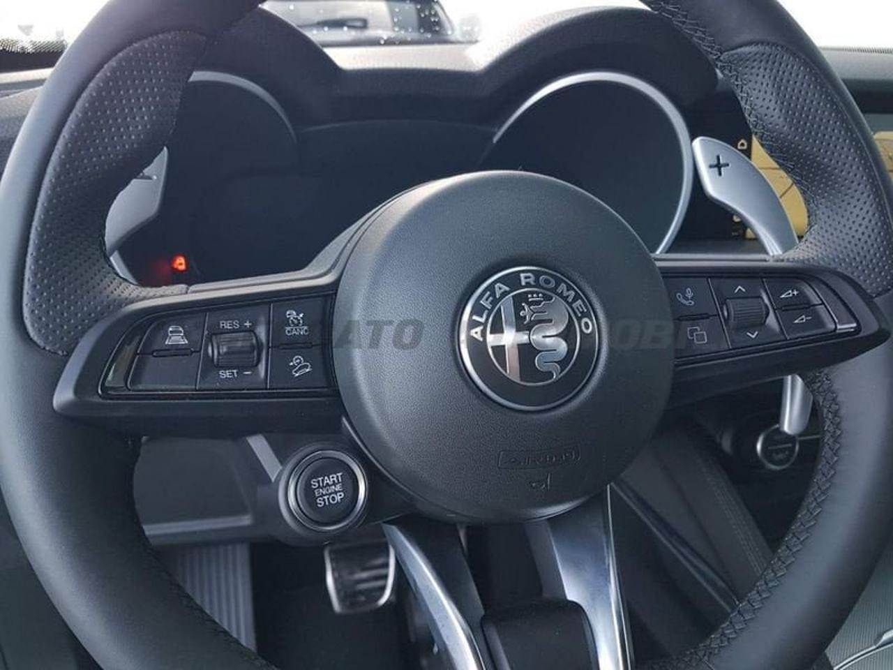 Alfa Romeo Alfa Romeo Stelvio usata 14