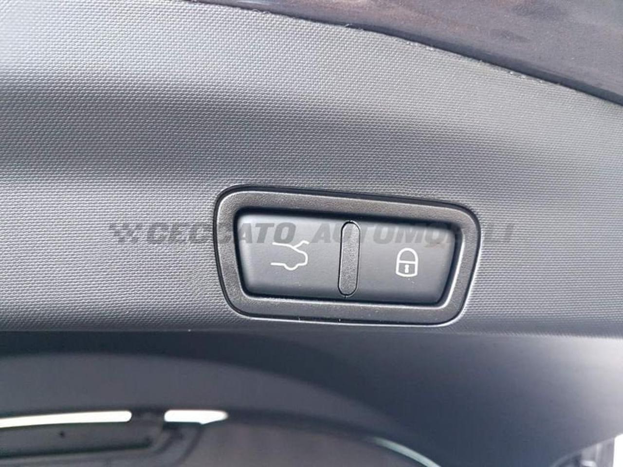 Alfa Romeo Alfa Romeo Stelvio usata 16