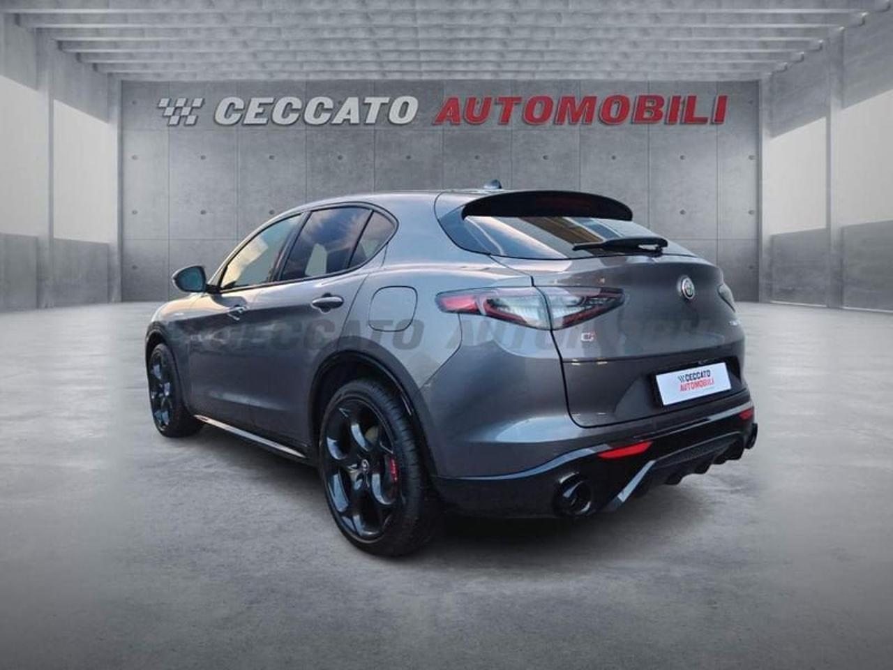 Alfa Romeo Alfa Romeo Stelvio usata 18
