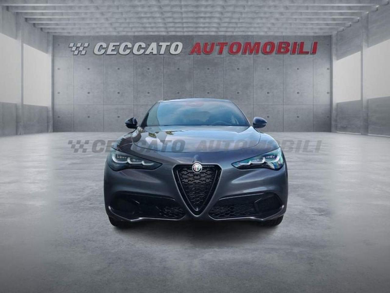 Alfa Romeo Alfa Romeo Stelvio usata 19