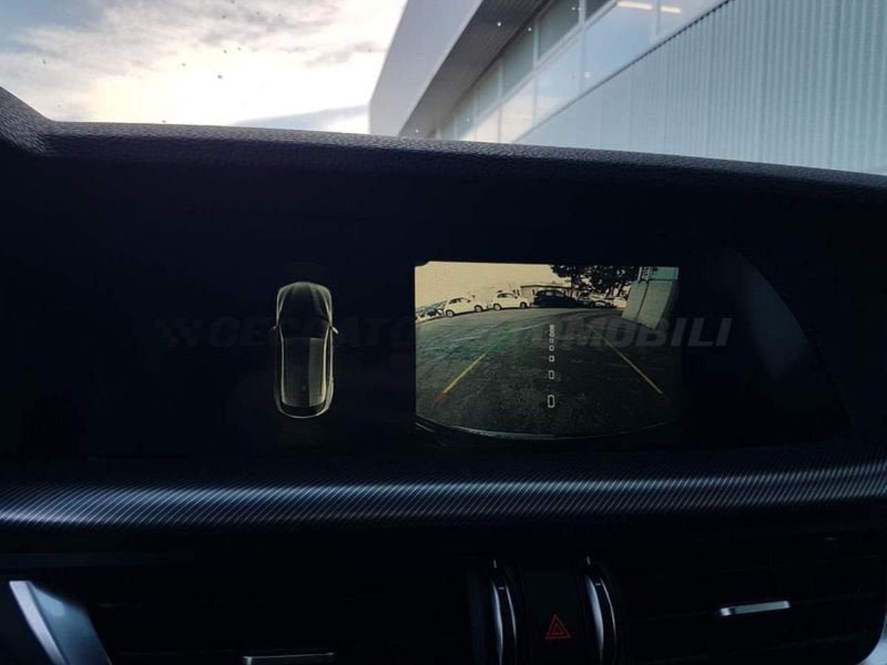 Alfa Romeo Alfa Romeo Stelvio usata 24