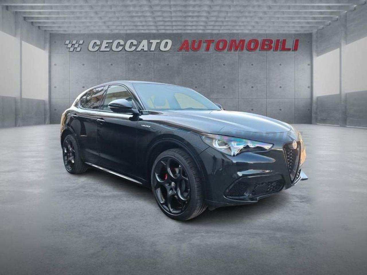 Alfa Romeo Alfa Romeo Stelvio usata 8