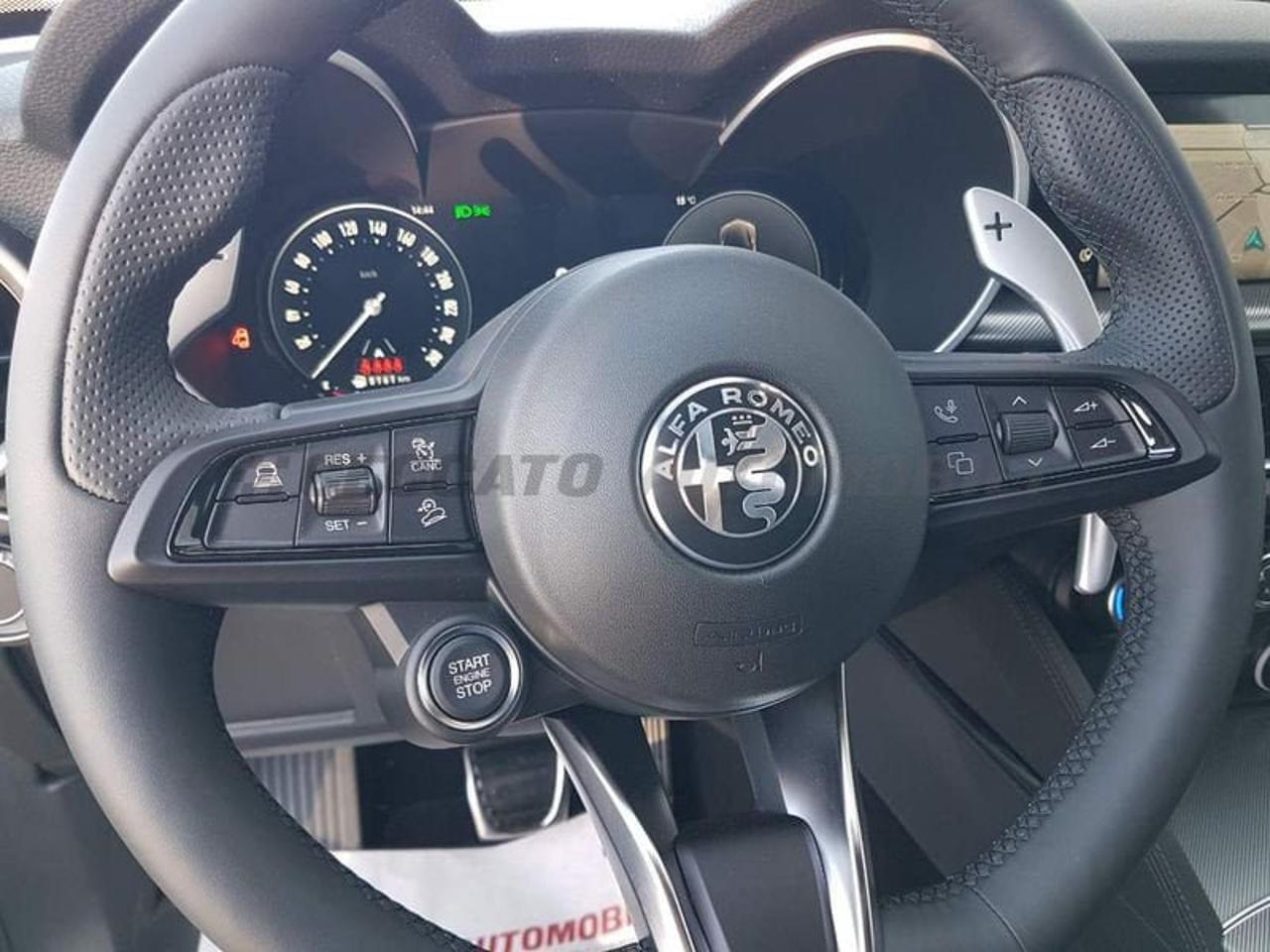 Alfa Romeo Alfa Romeo Stelvio usata 15