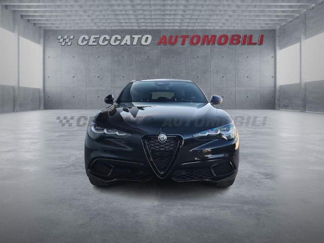 Alfa Romeo Alfa Romeo Stelvio usata 19