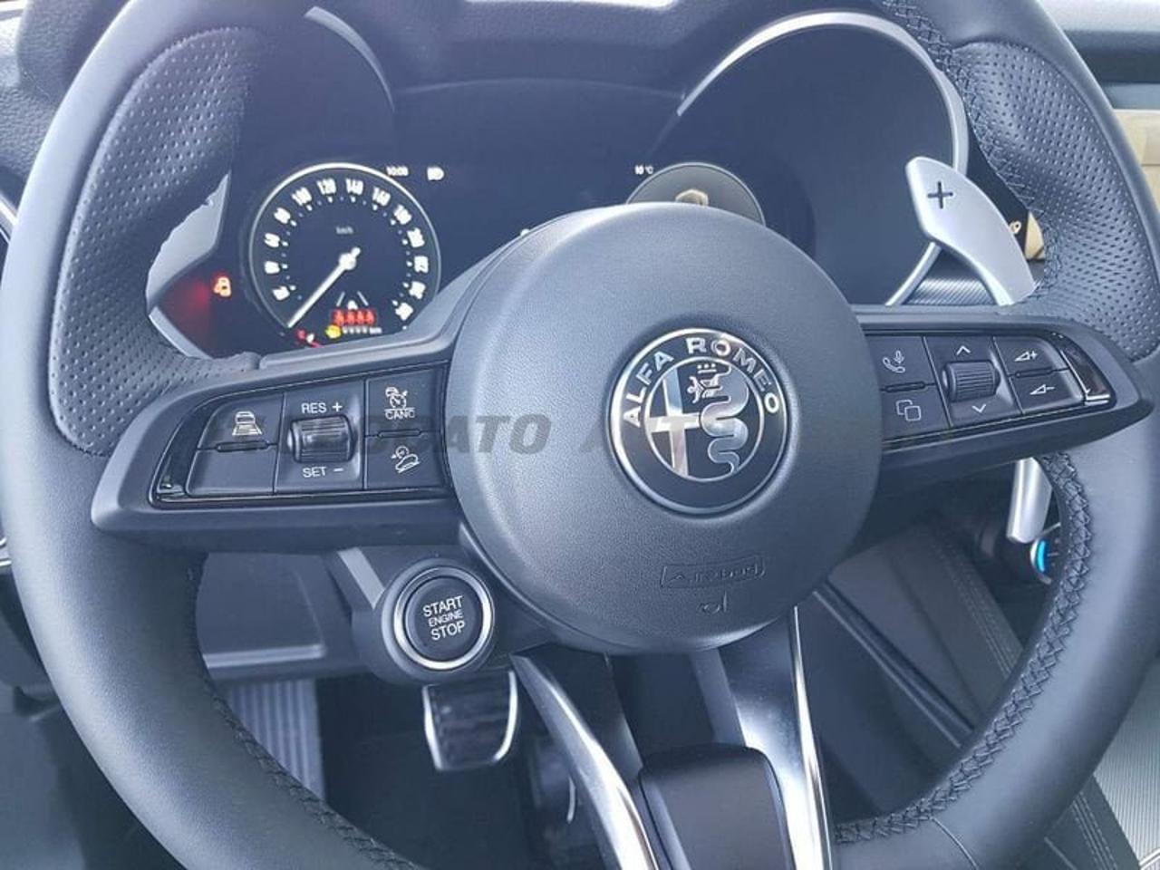 Alfa Romeo Alfa Romeo Stelvio usata 14