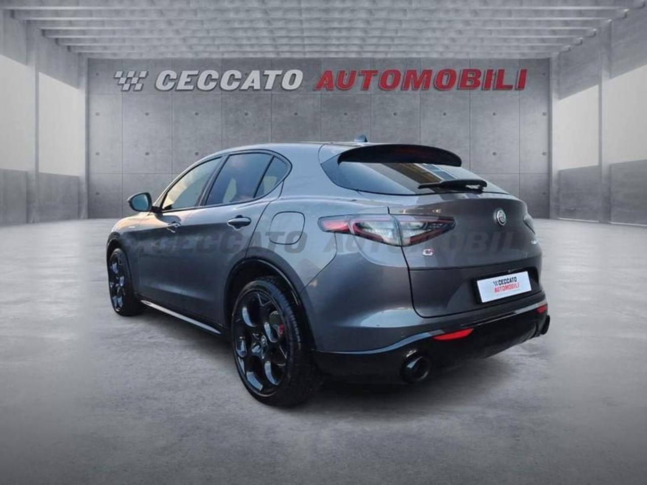 Alfa Romeo Alfa Romeo Stelvio usata 18