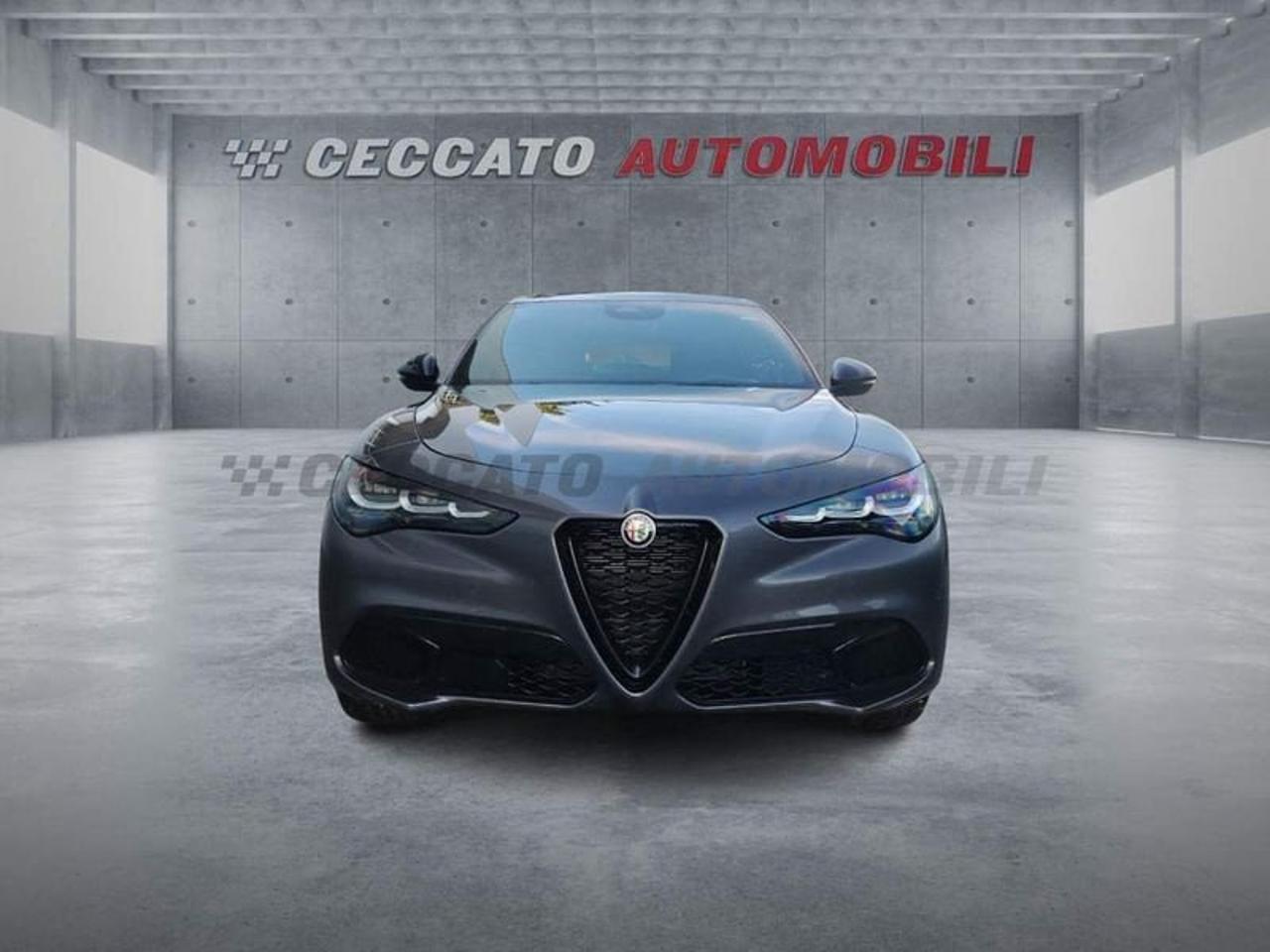 Alfa Romeo Alfa Romeo Stelvio usata 19