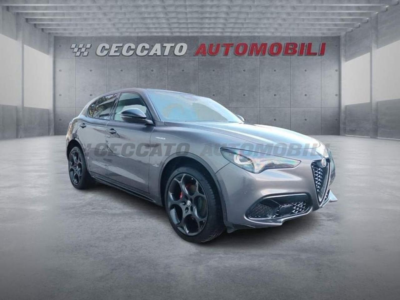 Alfa Romeo Alfa Romeo Stelvio usata 8