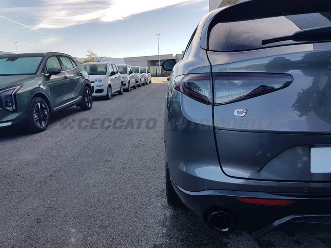 Alfa Romeo Alfa Romeo Stelvio usata 12