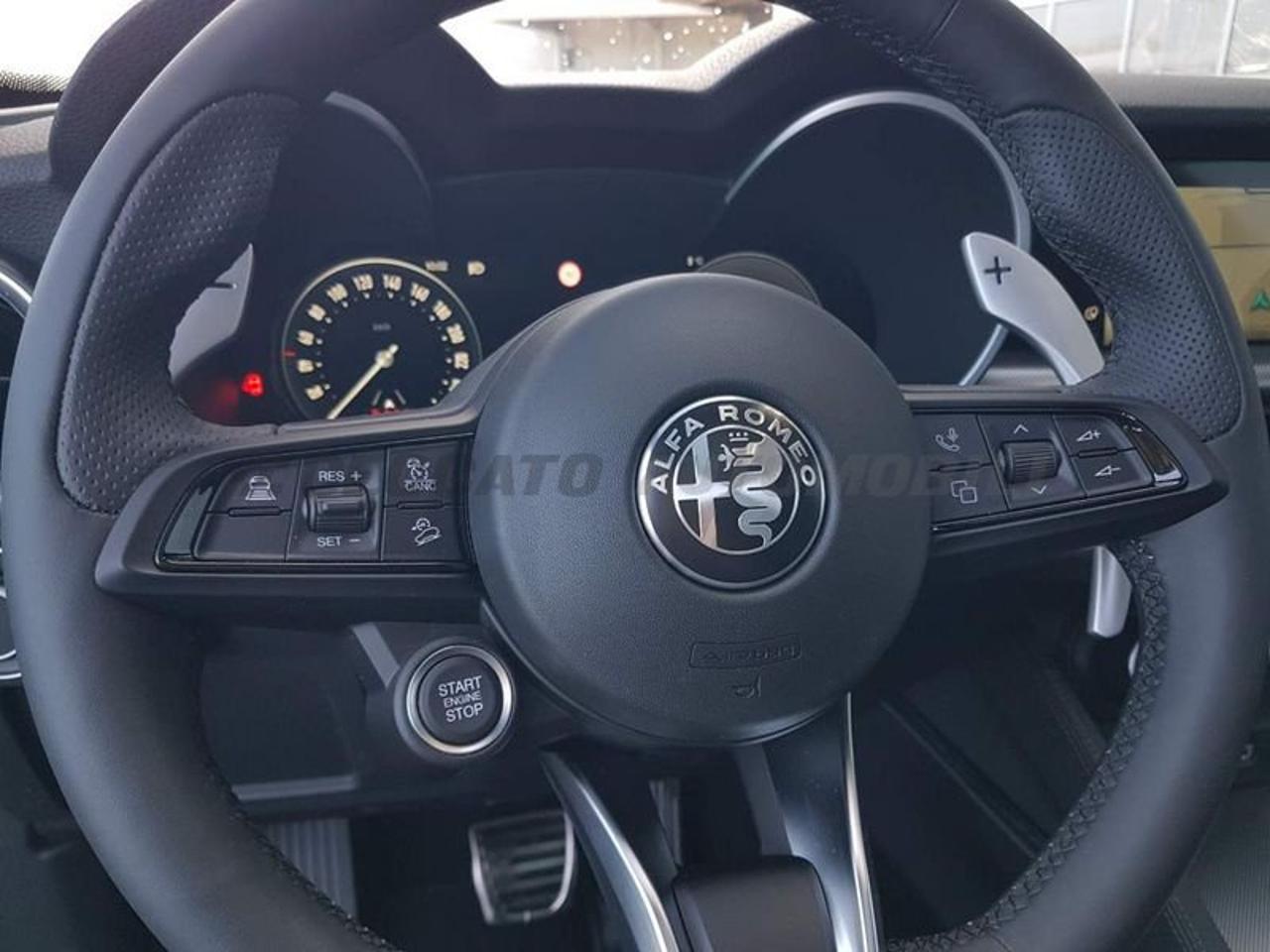 Alfa Romeo Alfa Romeo Stelvio usata 15