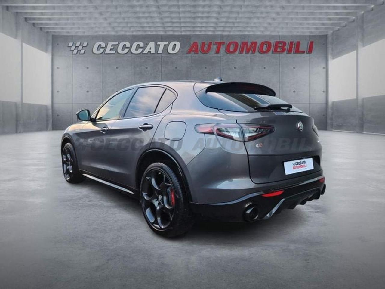 Alfa Romeo Alfa Romeo Stelvio usata 19