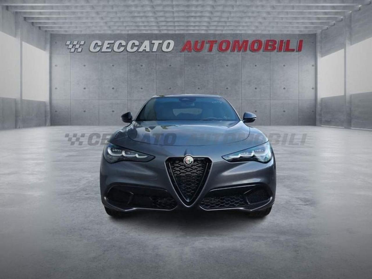 Alfa Romeo Alfa Romeo Stelvio usata 20