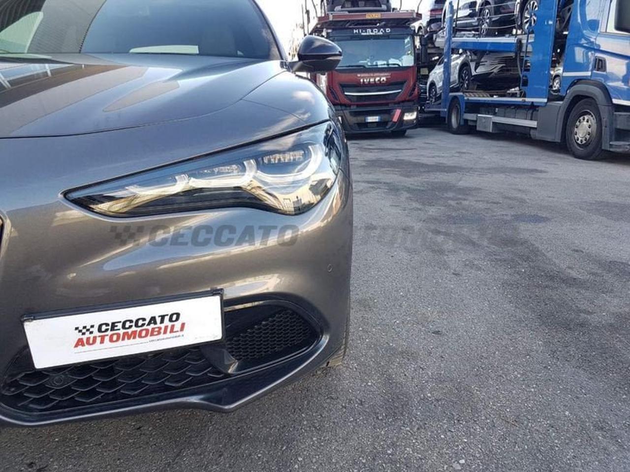 Alfa Romeo Alfa Romeo Stelvio usata 9
