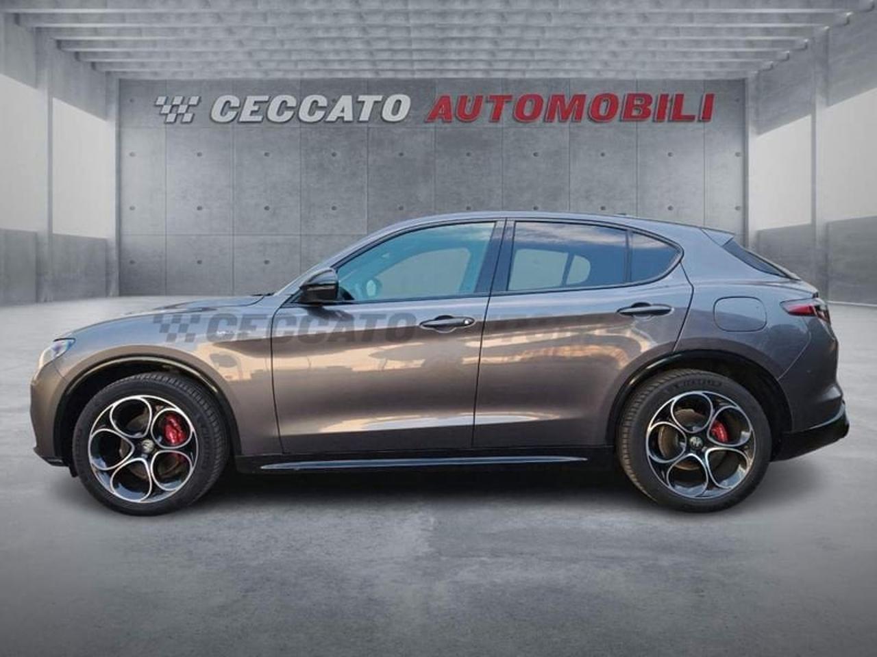 Alfa Romeo Alfa Romeo Stelvio usata 11