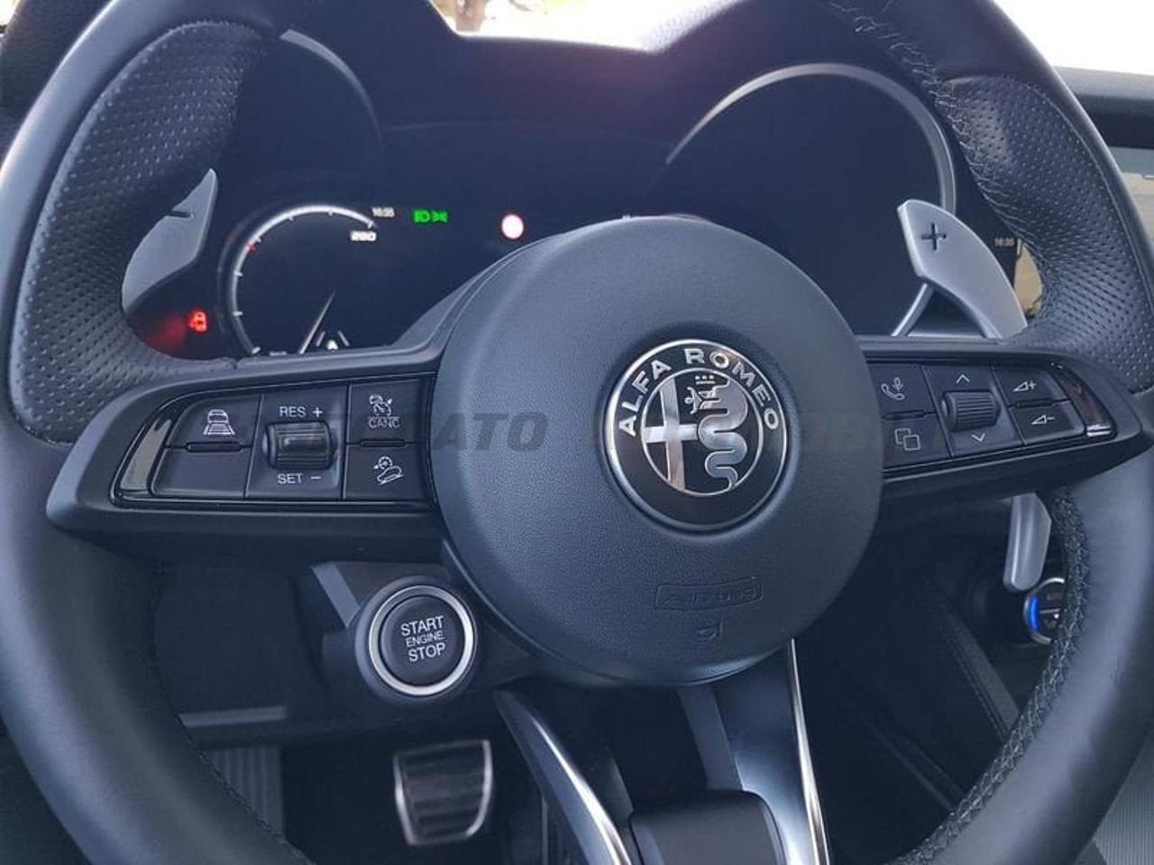 Alfa Romeo Alfa Romeo Stelvio usata 15