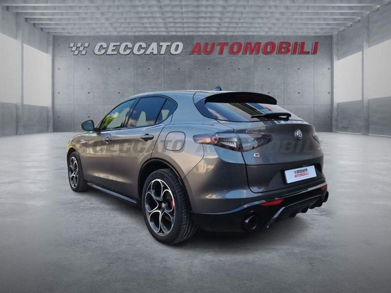 Alfa Romeo Alfa Romeo Stelvio usata 19